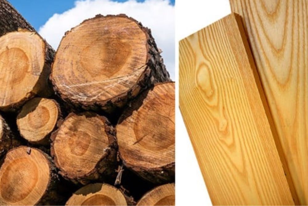 Ứng dụng công nghệ tuần hoàn thúc đẩy chuỗi giá trị sản xuất gỗ xuất khẩu