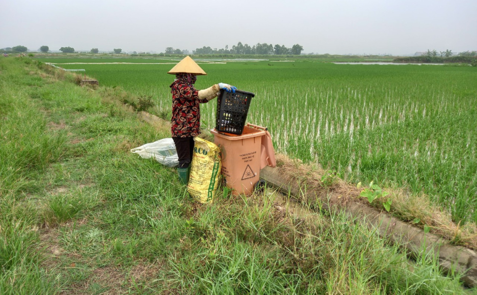 Bắc Ninh: Thu gom 6,3 tấn vỏ bao thuốc BVTV và rác thải nhựa trên đồng ruộng!