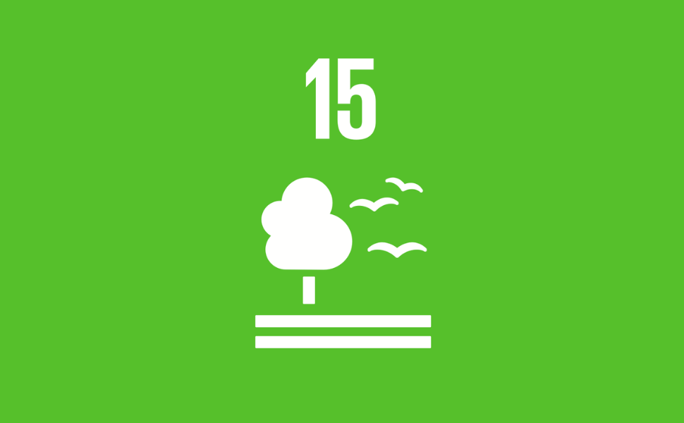 SDG số 15 trong 17 Mục tiêu Phát triển Bền vững 