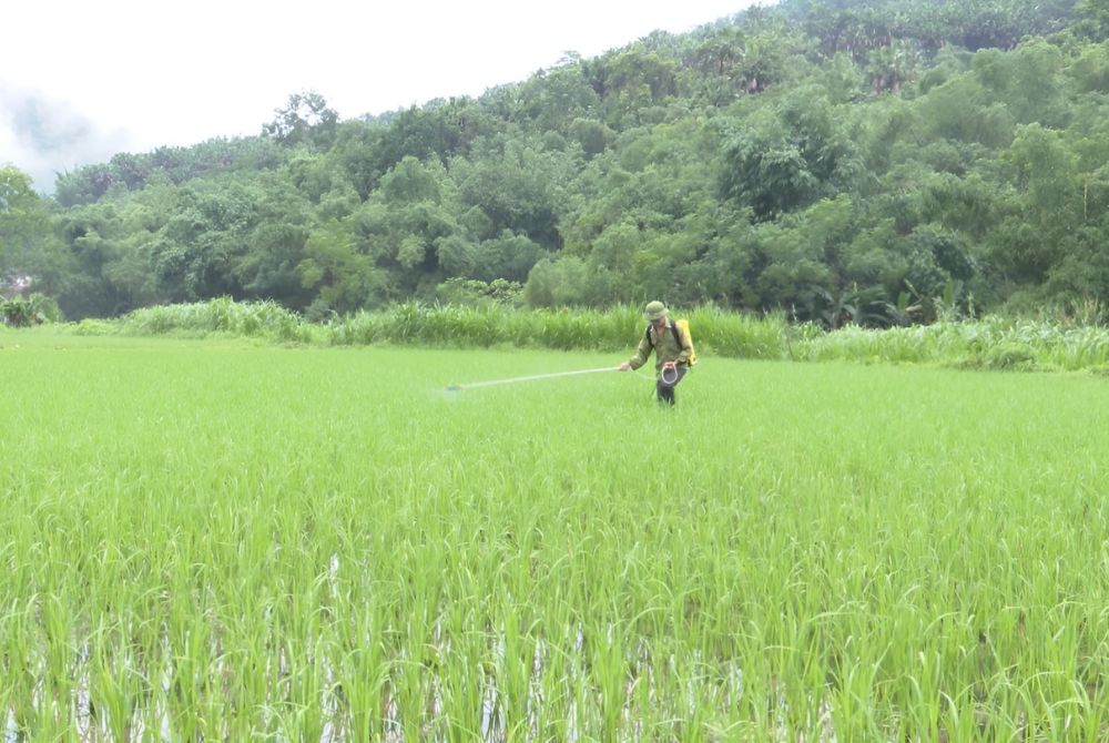 Thực trạng và giải pháp bảo vệ môi trường trong sản xuất nông nghiệp tại Lâm Đồng