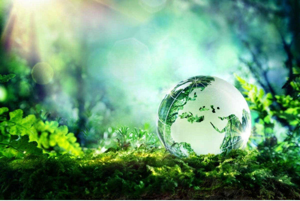 Luật Bảo vệ môi trường 2022- Quy định về khoảng cách an toàn môi trường!
