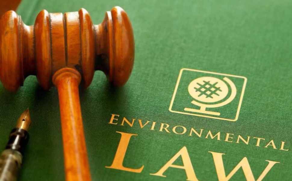 thực thi pháp luật môi trường