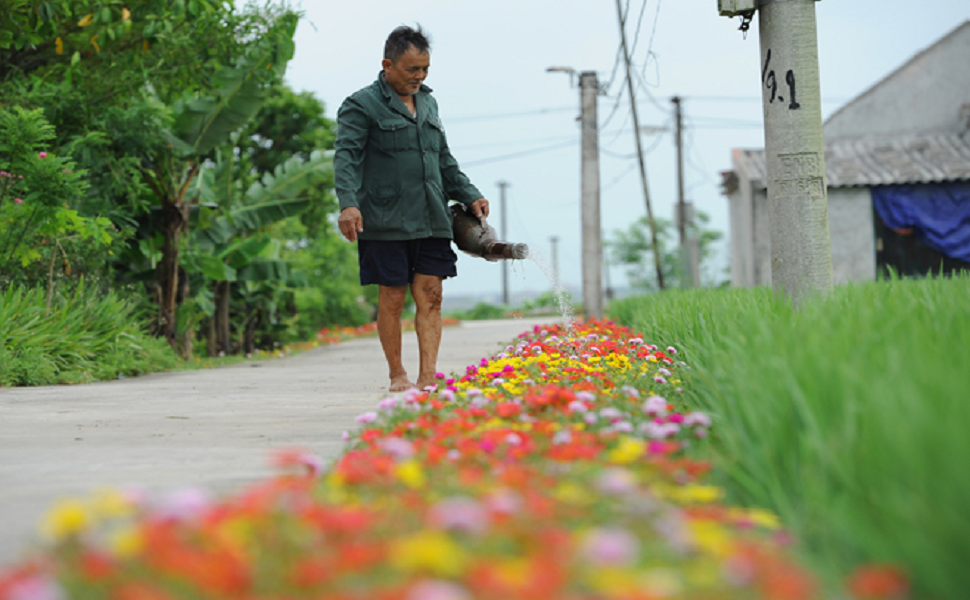 mô hình bảo vệ môi trường