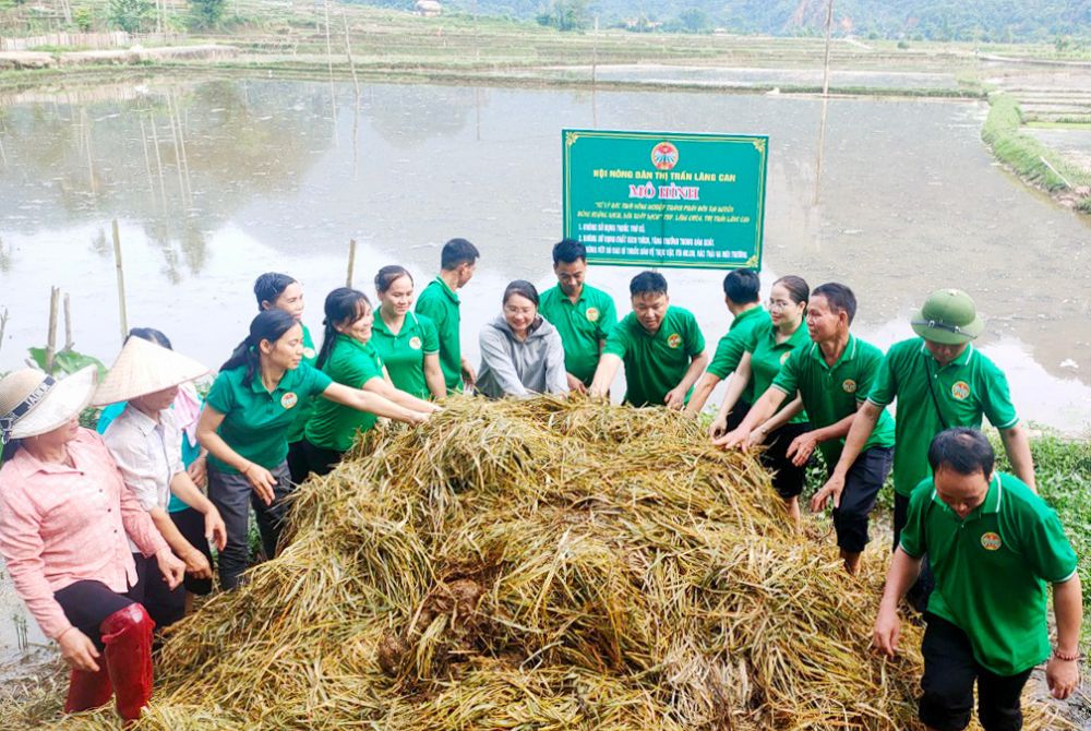 Tăng cường sản xuất và sử dụng phân bón hữu cơ