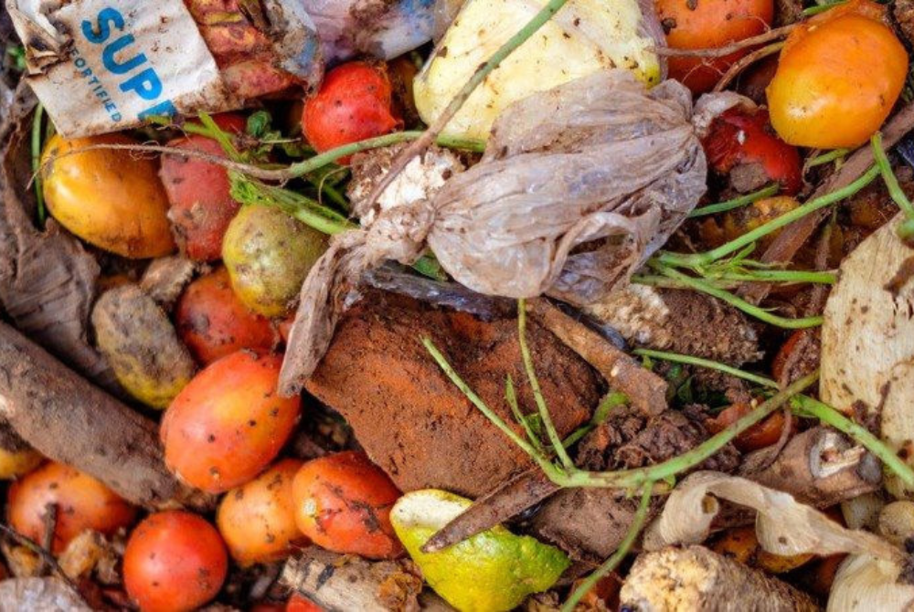 Đan Mạch: Khí sinh học từ chất thải thực phẩm có thể thay thế khí đốt tự nhiên nhập khẩu