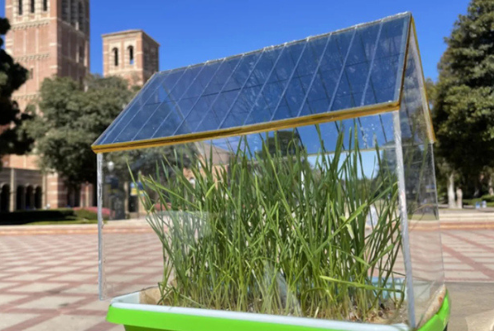 Ứng dụng pin mặt trời từ vật liệu hữu cơ vào nông nghiệp