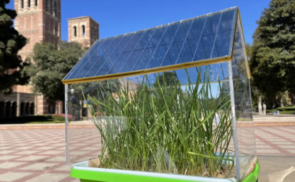 Ứng dụng pin mặt trời từ vật liệu hữu cơ vào nông nghiệp
