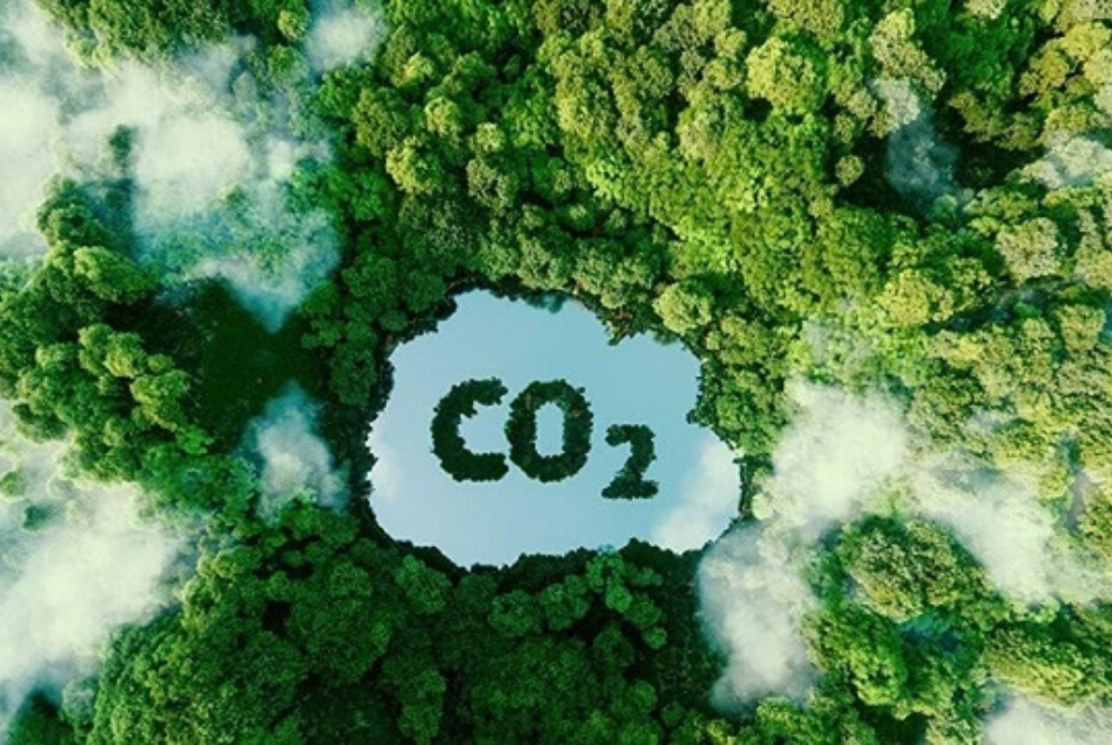 Việt Nam sẽ vận hành chính thức sàn giao dịch tín chỉ carbon vào năm 2028