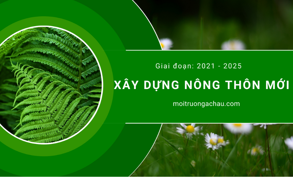 Xây dựng nông thôn mới là một nhiệm vụ trọng tâm, thường xuyên và lâu dài