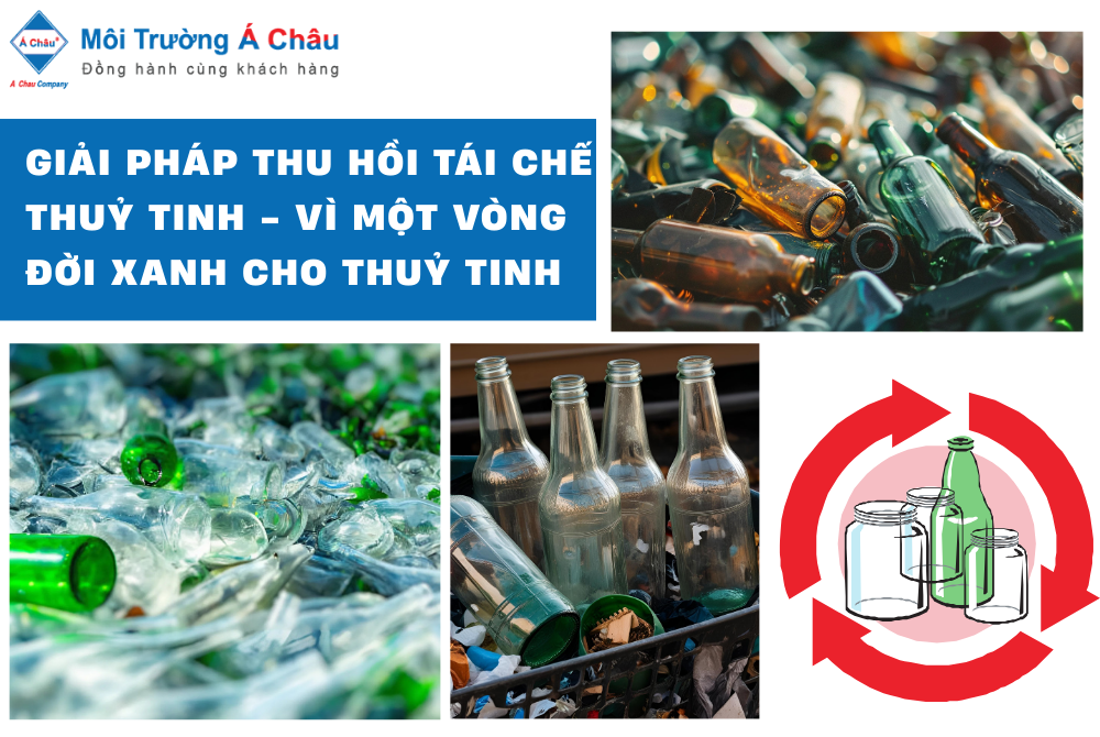 GIẢI PHÁP THU HỒI TÁI CHẾ THUỶ TINH - VÌ MỘT VÒNG ĐỜI XANH CHO THỦY TINH