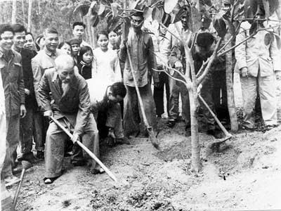 Tết trồng cây - Chủ tịch Hồ Chí Minh