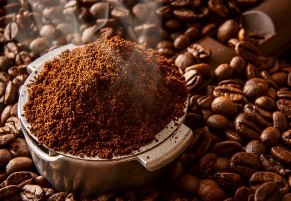 Tái chế bã cà phê thành nấm và gạch cách nhiệt!