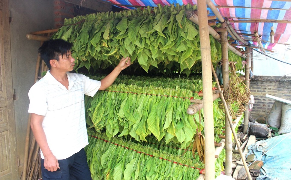 nông thôn mới tỉnh Cao Bằng