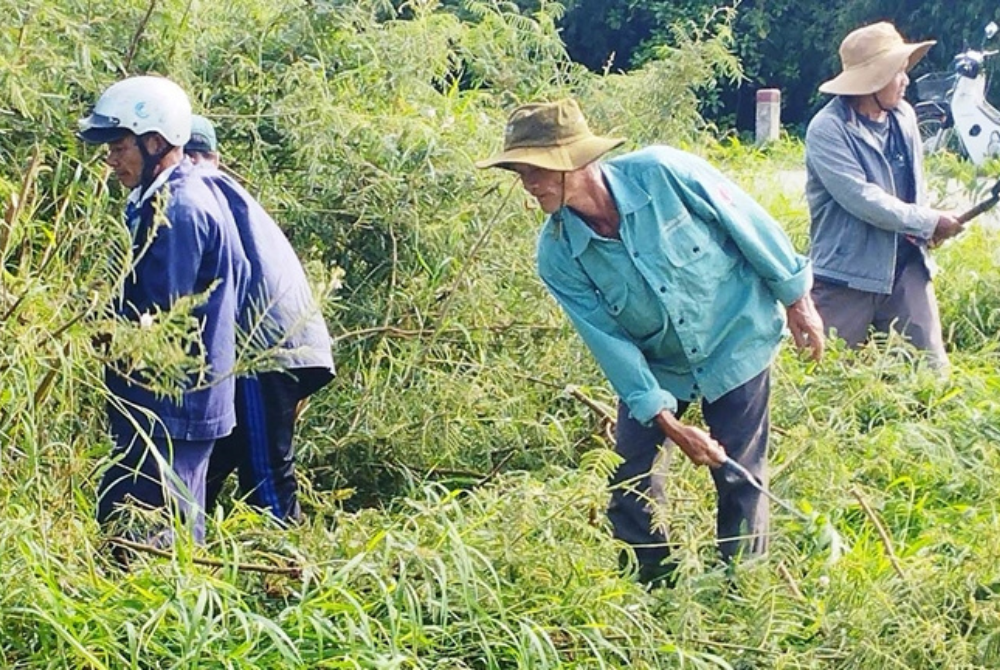 Nông dân Thừa Thiên Huế: Nói “không” với bao bì bảo vệ thực vật trên đồng ruộng!