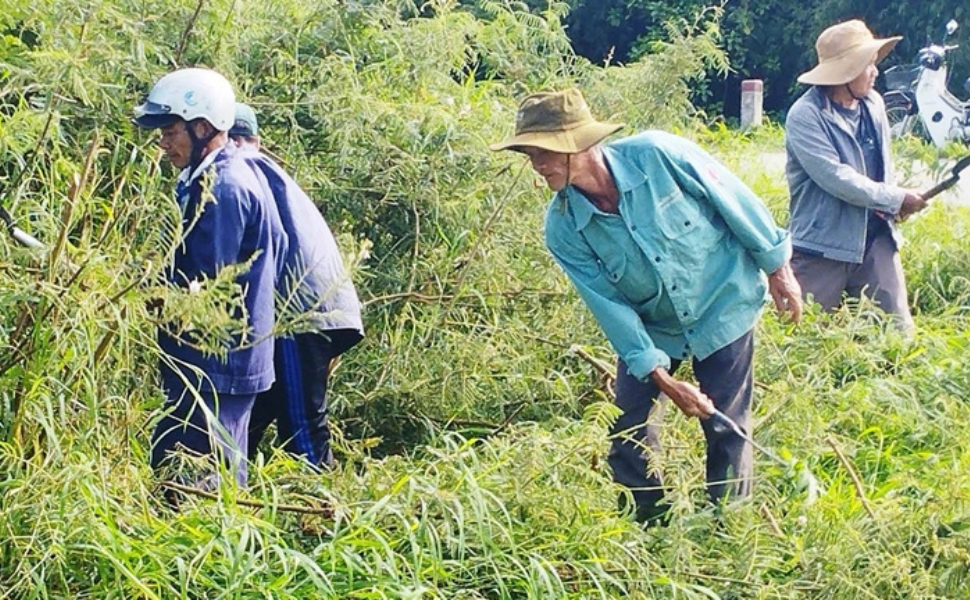 Nông dân Thừa Thiên Huế: Nói “không” với bao bì bảo vệ thực vật trên đồng ruộng!