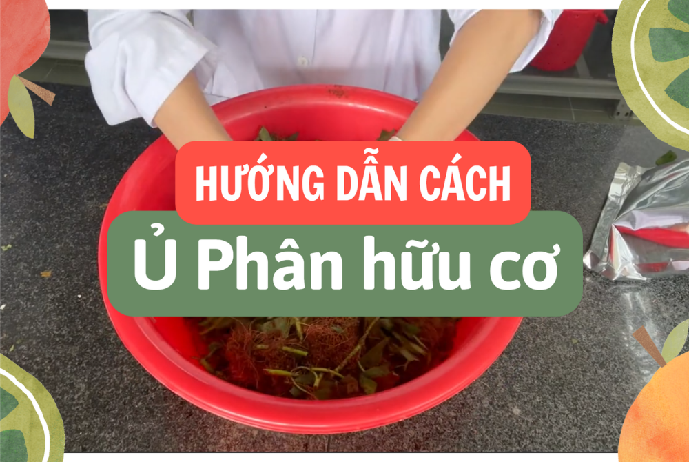 5 bước ủ phân hữu cơ từ thực phẩm thừa, rau củ quả, vỏ trái cây... | Môi Trường Á Châu x Gen Xanh