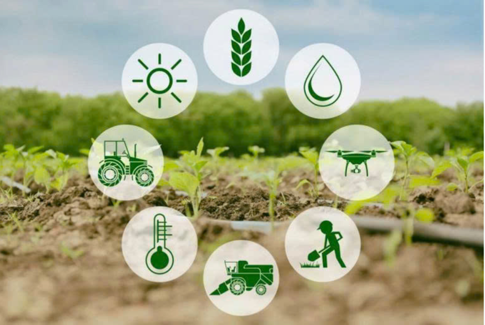 Cắt giảm, phân quyền và đơn giản hóa thủ tục hành chính và cắt giảm, đơn giản hoá điều kiện kinh doanh thuộc phạm vi quản lý của Bộ Nông nghiệp và Môi trường