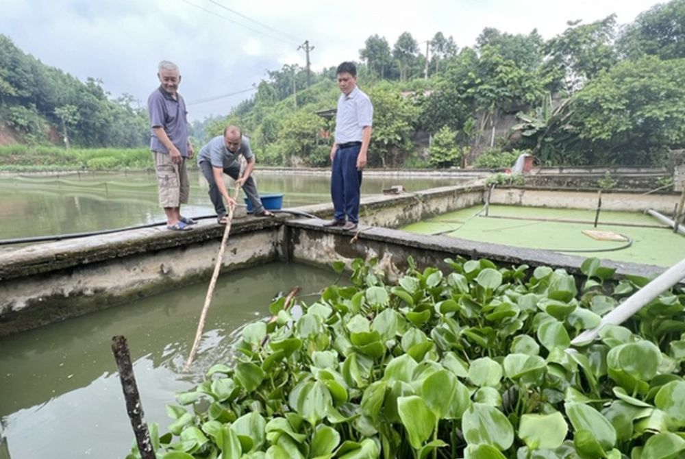 Lào Cai: Phòng, chống ô nhiễm nguồn nước nuôi thủy sản