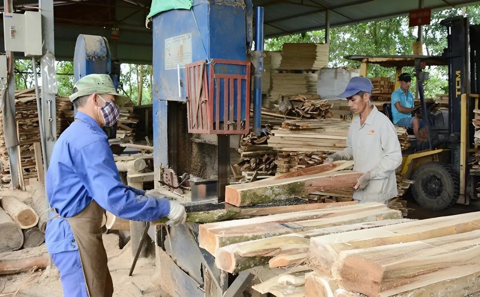 Thay thế nhiên liệu chống biên đổi khí hậu