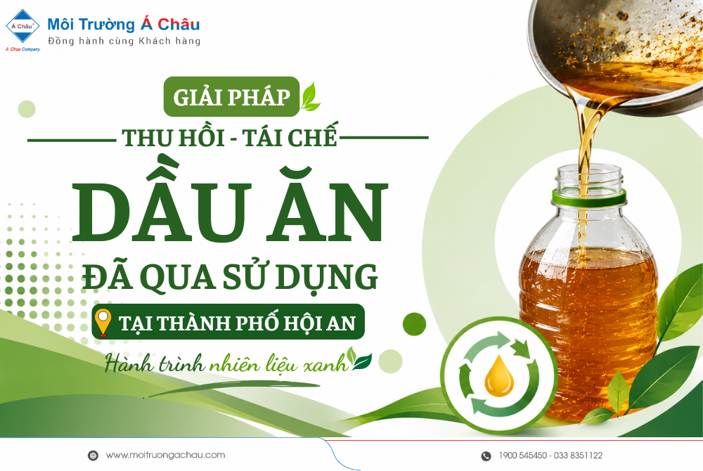 Giải Pháp Thu Hồi Tái Chế Dầu Ăn Đã Qua Sử Dụng Tại Thành Phố Hội An – Hành Trình Thành Nhiên Liệu Xanh