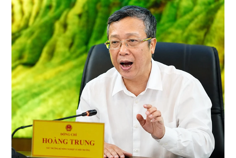 Lấy đo đếm phát thải làm nền tảng cho đề án 1 triệu ha lúa chất lượng cao