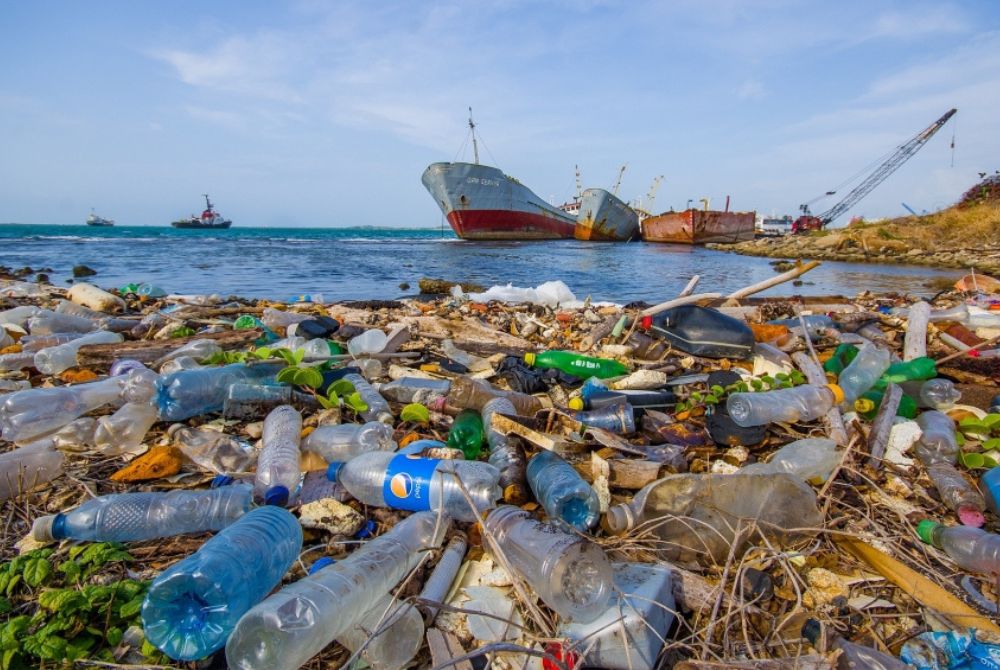 Ứng dụng giúp đẩy lùi rác thải nhựa - Tide Tuners