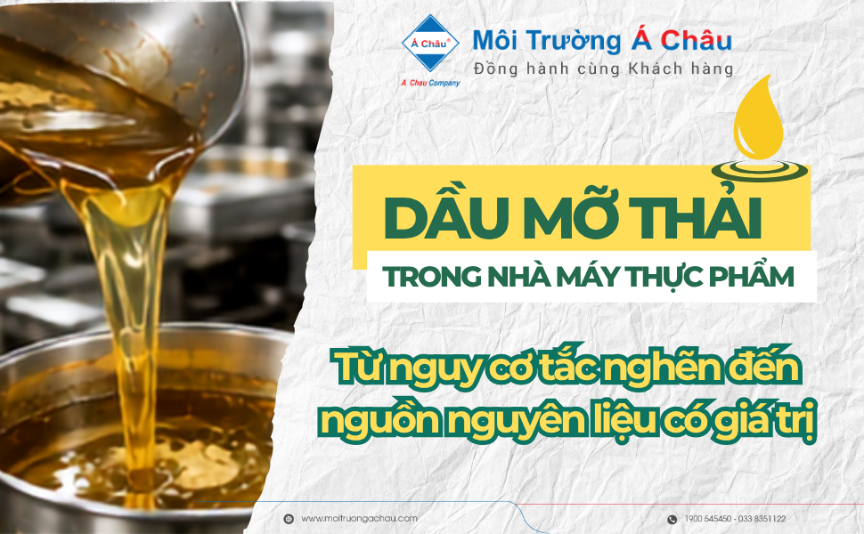 Dau mo thai trong nha may thuc pham 