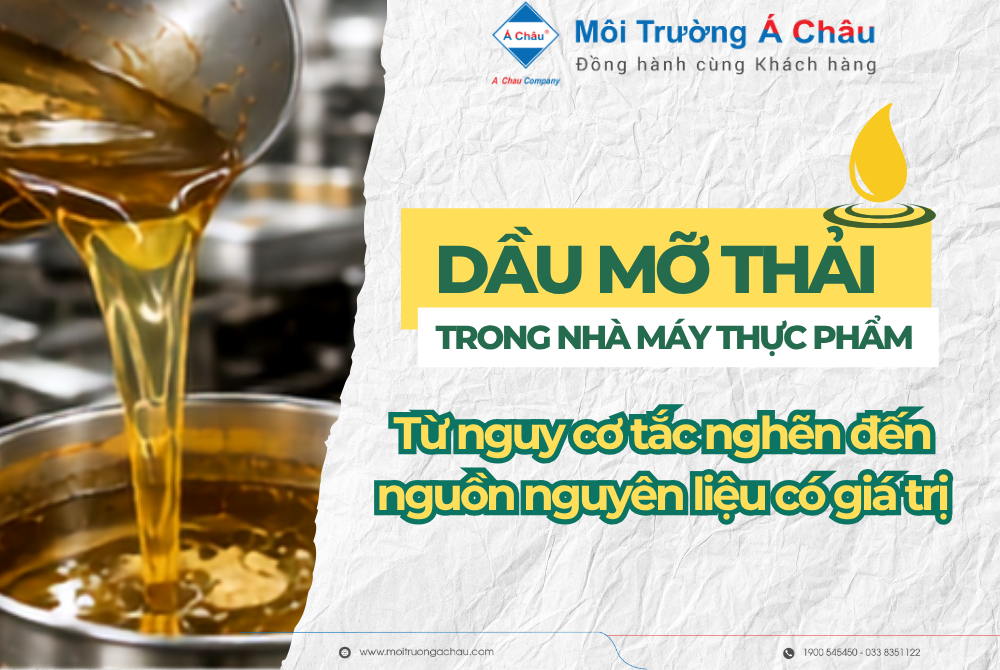 Dầu mỡ thải trong nhà máy thực phẩm: Từ nguy cơ tắc nghẽn đến nguồn nguyên liệu có giá trị