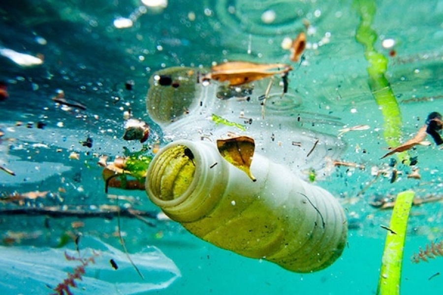 Nhật Bản xử lý rác thải trên biển ra sao?