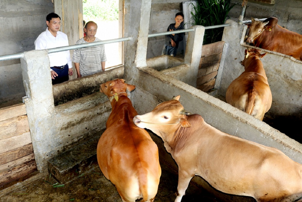 Hà Giang: Yên Định khó duy trì các tiêu chí nông thôn mới