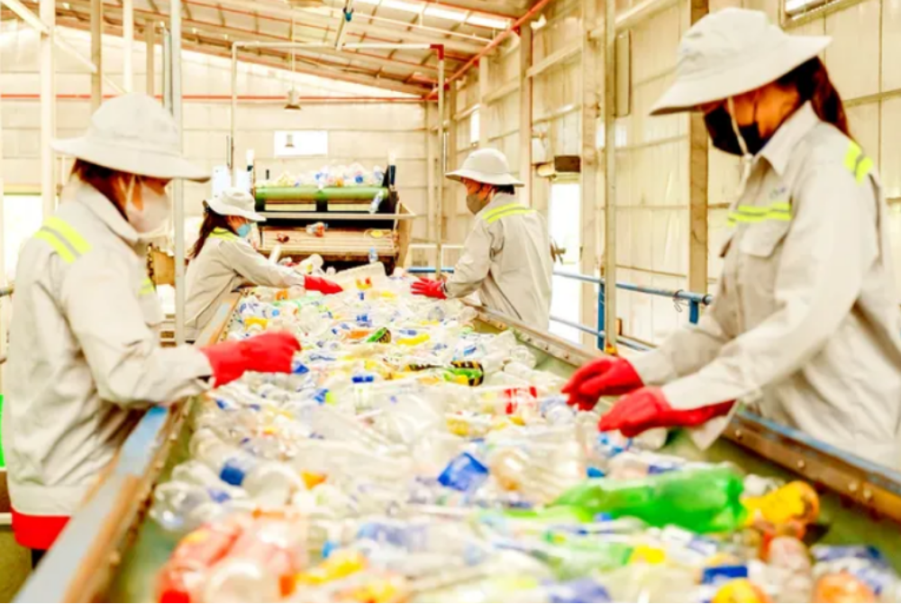 Nâng cao trách nhiệm tái chế bao bì lĩnh vực đồ uống