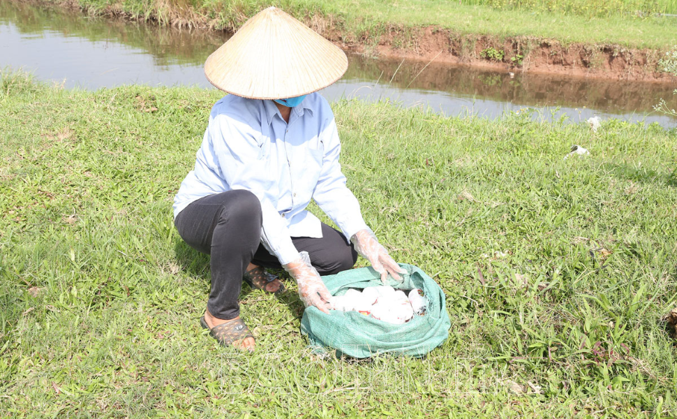 Hà Nam: Giải pháp xử lý vỏ bao bì đựng thuốc bảo vệ thực vật!