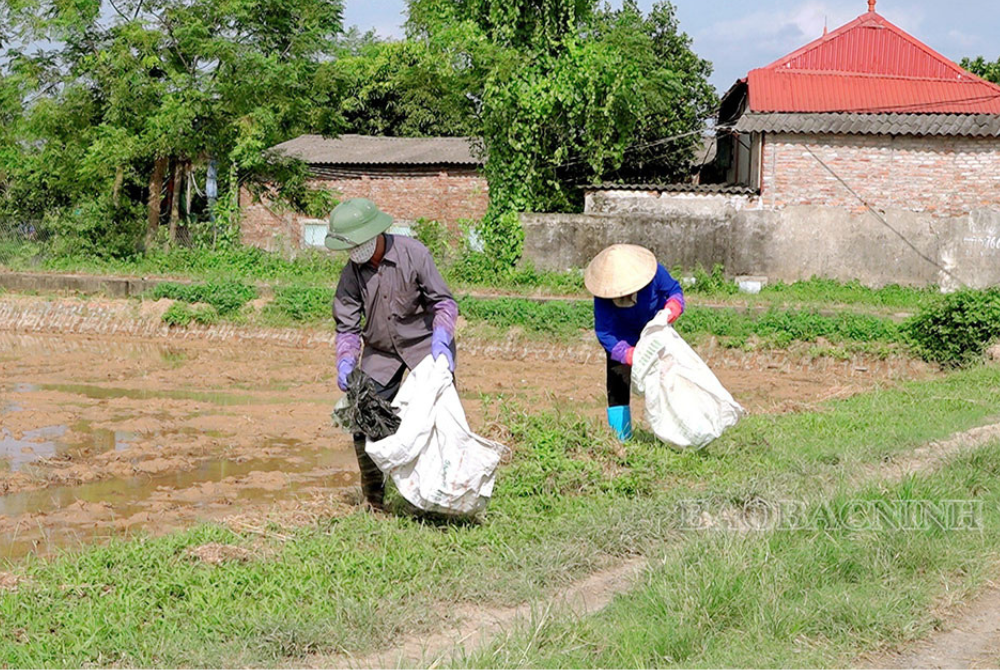 Nông dân Bắc Ninh chuyển giao, hướng dẫn kỹ thuật thực hiện mô hình bảo vệ môi trường!