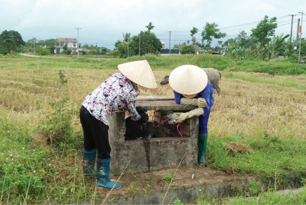 Quảng Ngãi: Nông dân tích cực bảo vệ môi trường