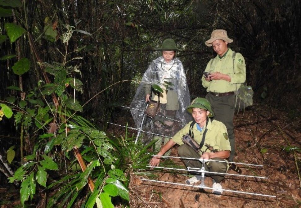 Ứng dụng SMART trong quản lý rừng và đa dạng sinh học tại Việt Nam