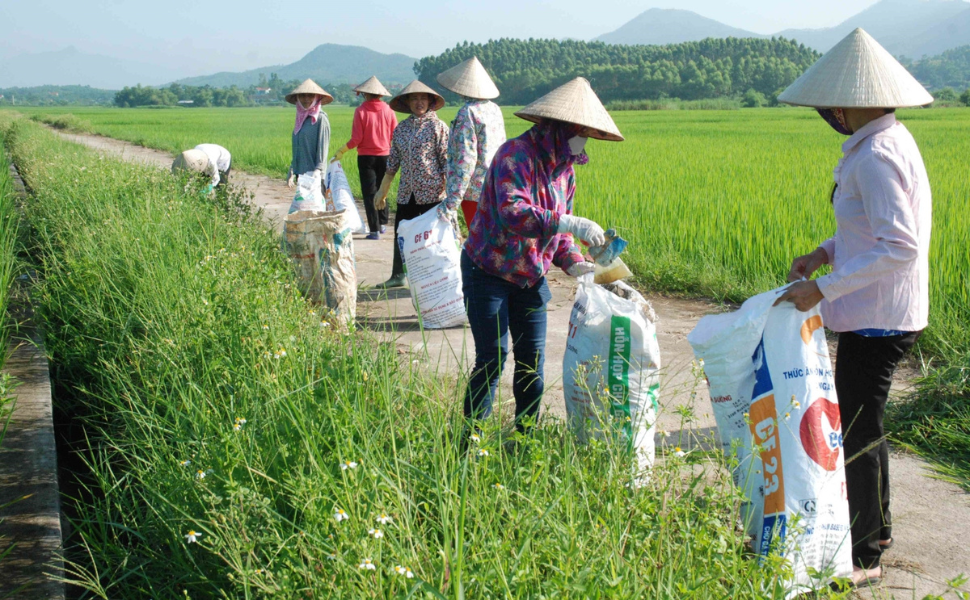 Bình Định: Phụ nữ An Lão lan tỏa phong trào làm sạch đồng ruộng!