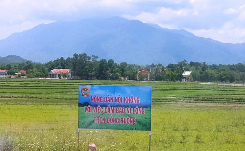 Đà Nẵng: Hướng tới mô hình “3 không” trên cánh đồng tại Huyện Hòa Vang!
