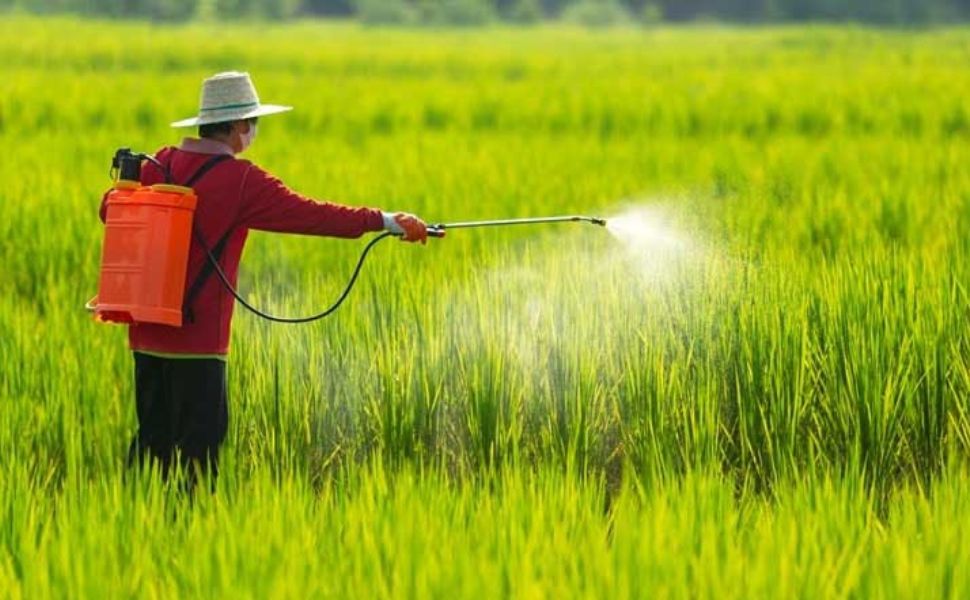 Thừa Thiên Huế thu gom xử lý thuốc bảo vệ thực vật